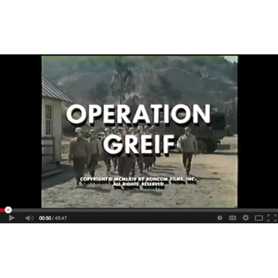 Operation Greif